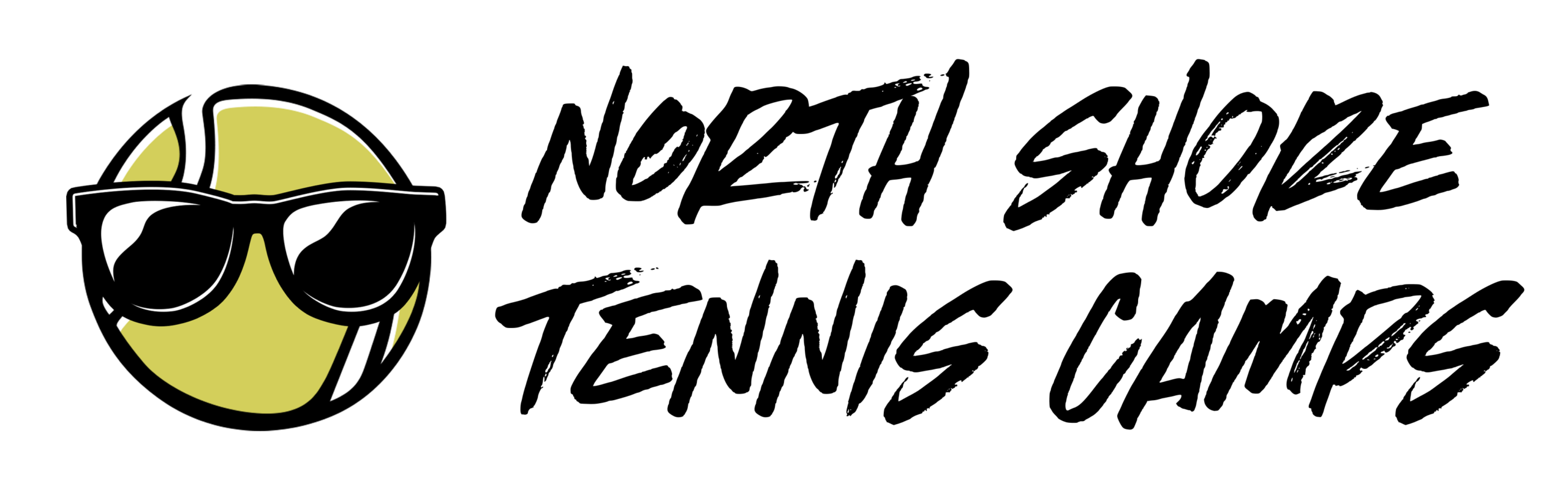 NSTC words and image logo black copy NSTC