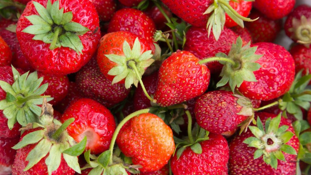 Strawberry Blog Header 2026