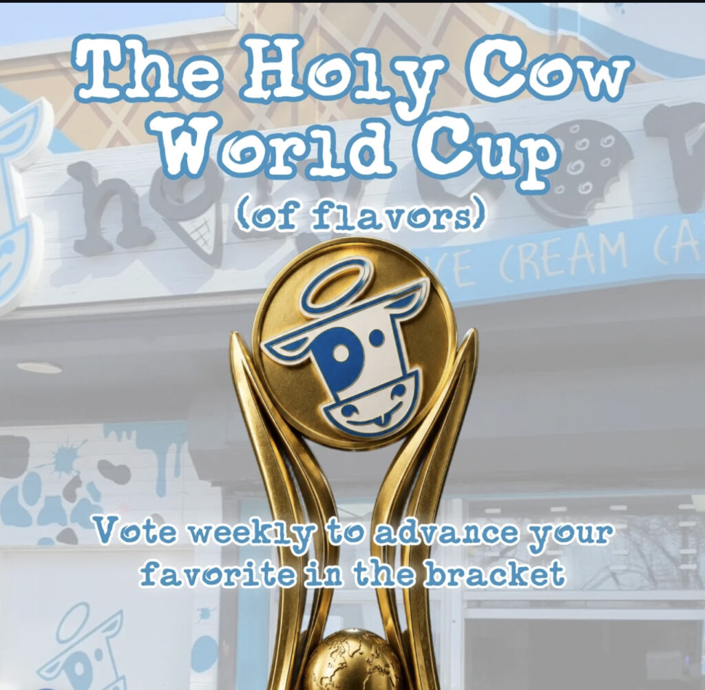 holy-cow-world-cup-ice-cream