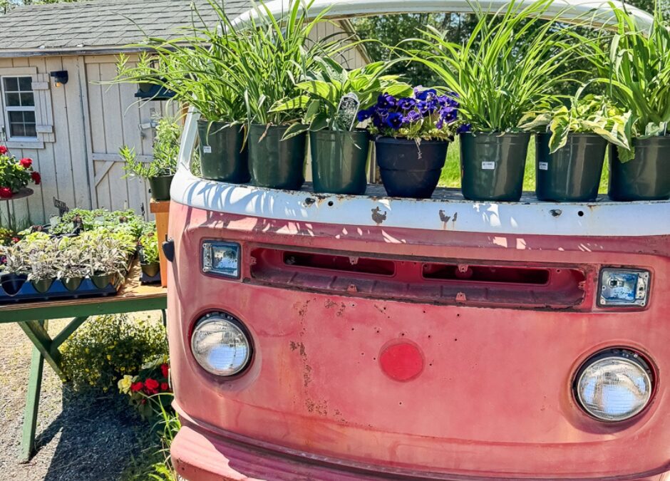 North Shore Farm Stands