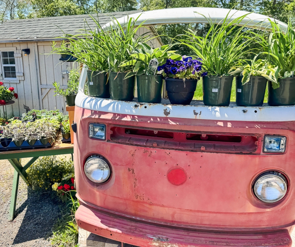Farm Stands Header 2026